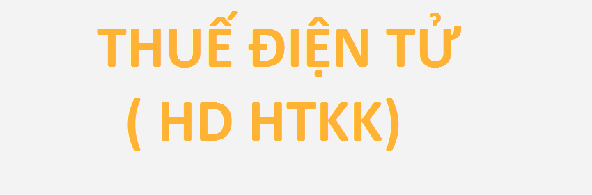 thue-dien-tu